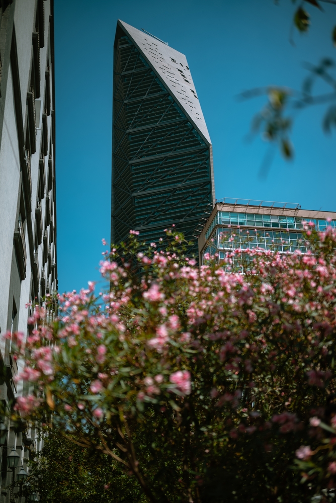 Expertise_Arturo Gandara-Torre Reforma, Mexico City