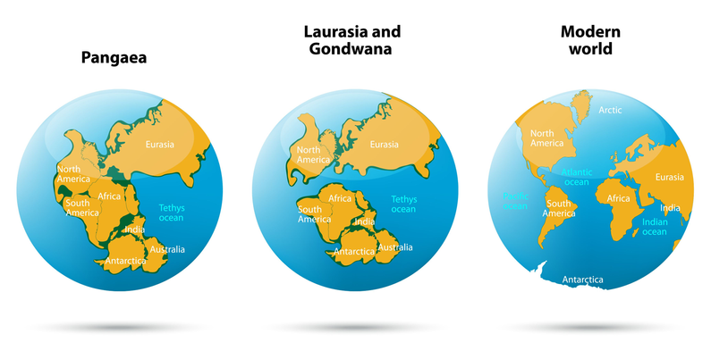 대륙이동설 (Continental Drift Theory)