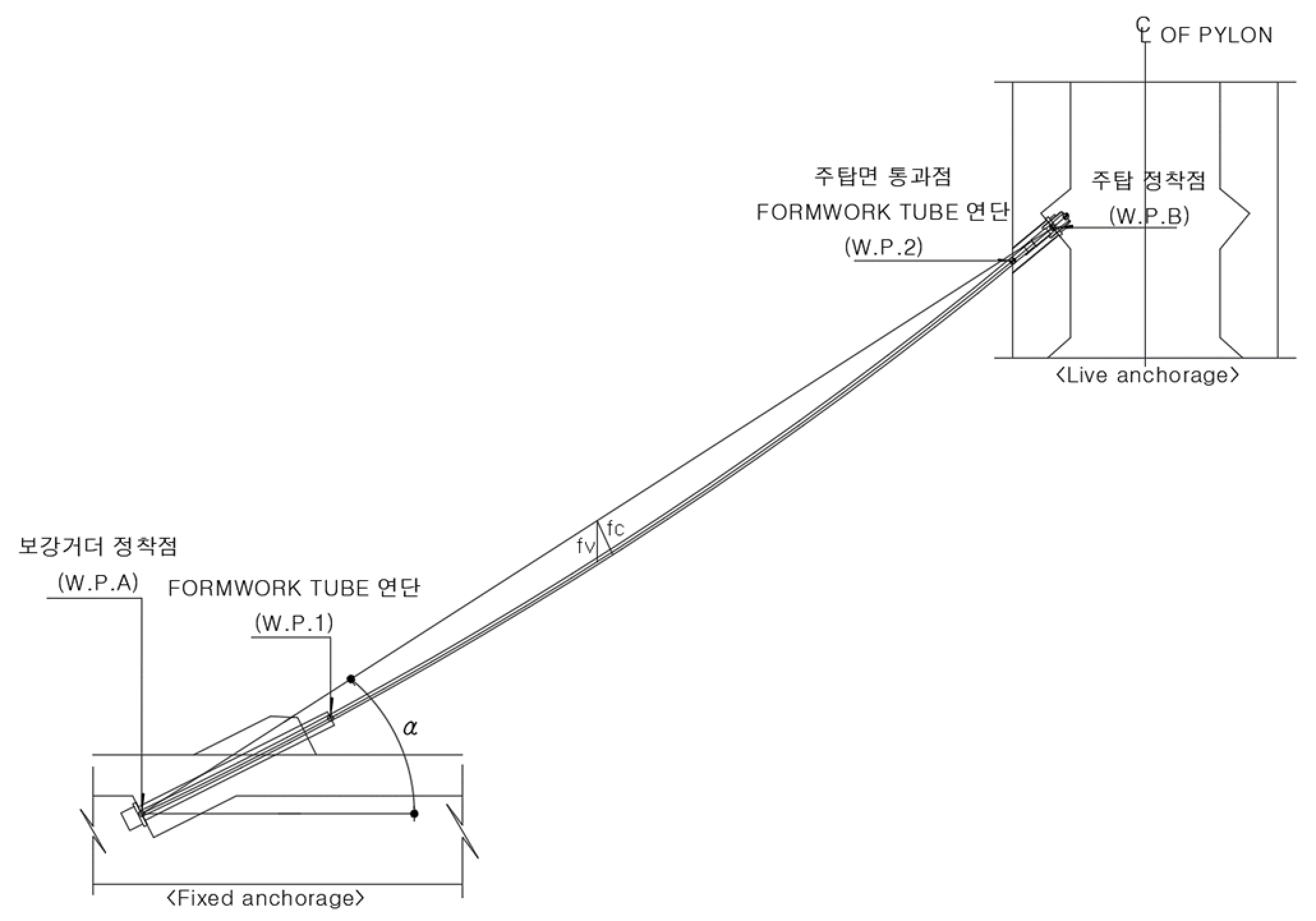 포물선과 현수선 적용 (1)