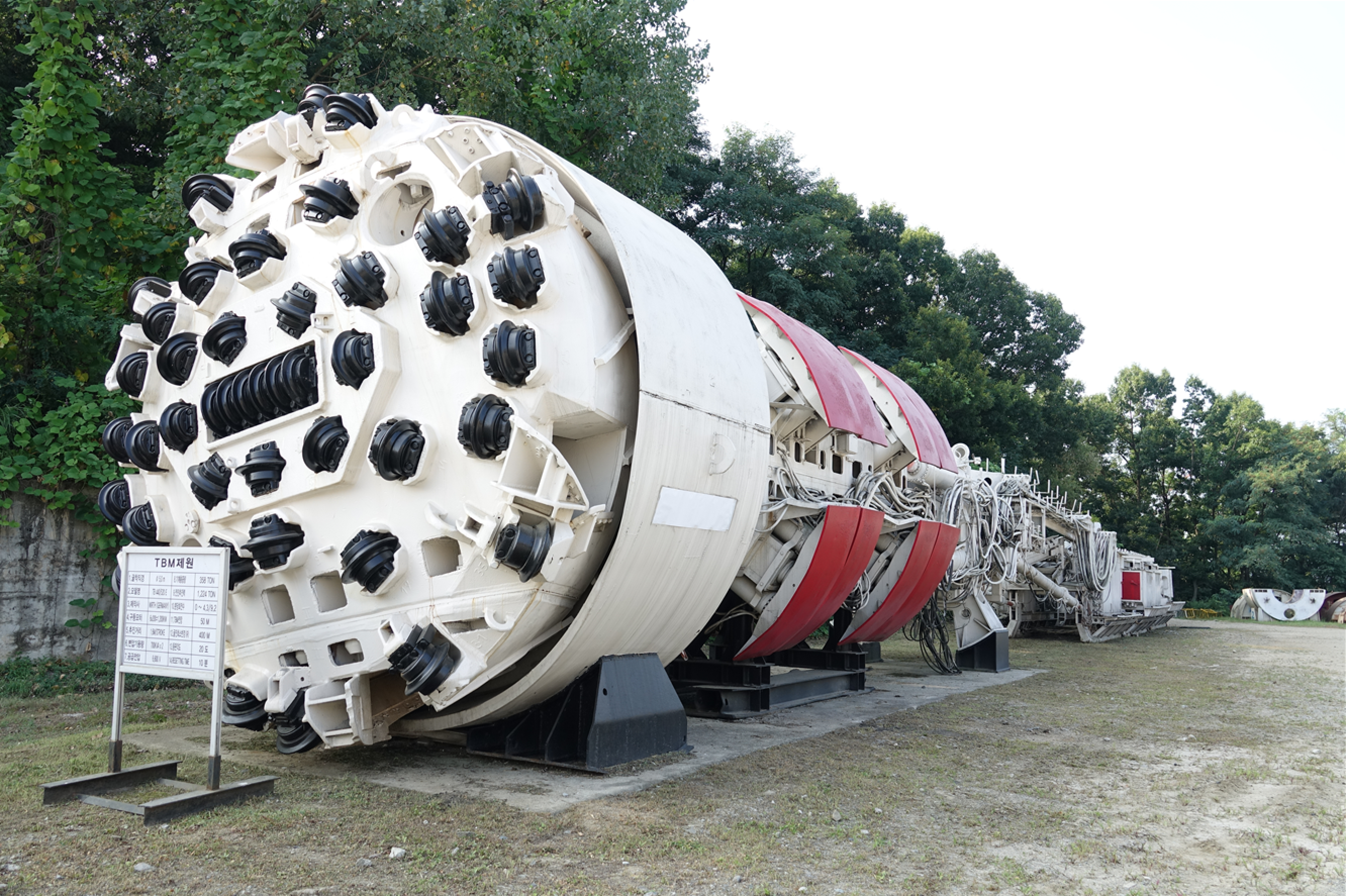 TBM