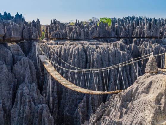 Figure 4: Catenary Suspension Bridge