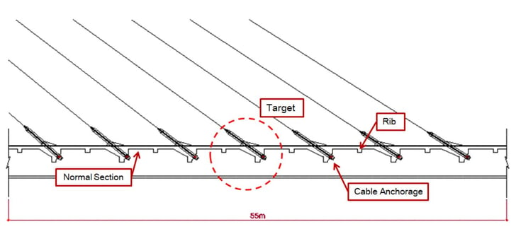 Longitudinal view of Target Model