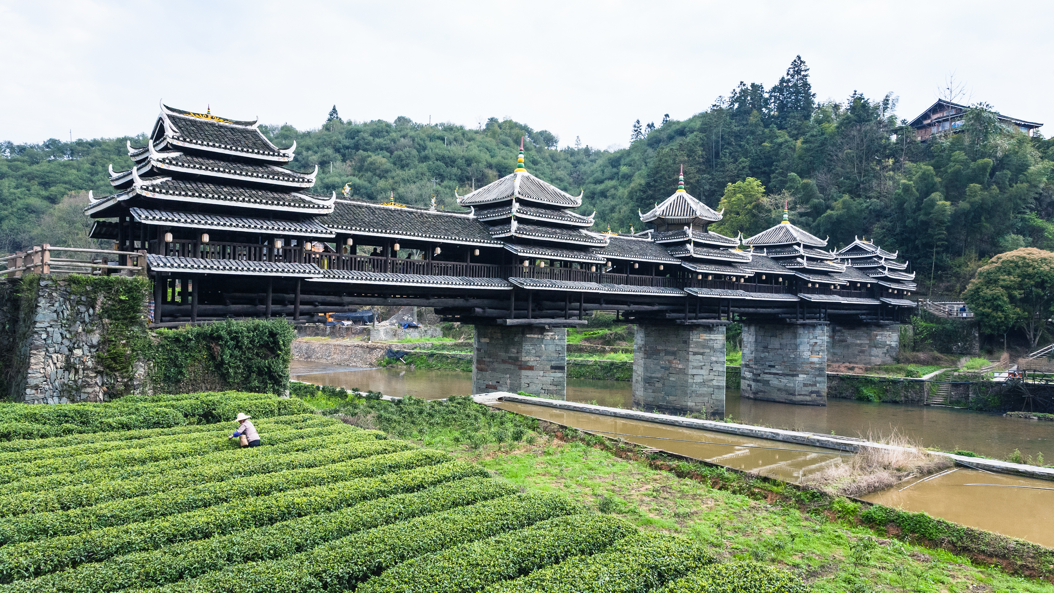 Chengyang Wind and Rain Bridge - 1