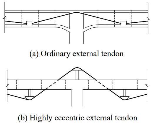 Ordinary vs. Highly Eccentric External Tendon