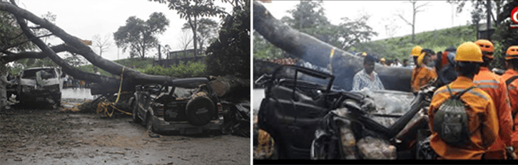 Figure 3 Tree collapse accident took the life of a civilian from Cucuta city in Sardinata Roadway on 23rd April_2019