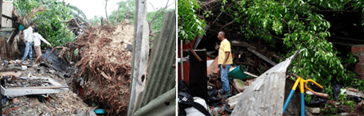 Figure 4 Tree uprooting caused several damages to local housing in Cartagena and two habitants got injured during the rainfall of 7th June_2019_