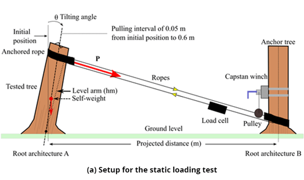 Figure 5 (a) Setup for the static loading test