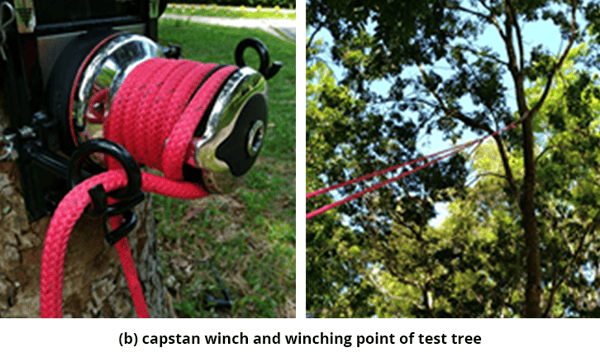 Figure 5 b) capstan winch and winching point of test tree.(b)