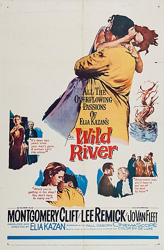 Wild_River_(1960_film_poster_-_one_sheet)