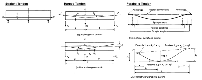 Tendon Profile Type